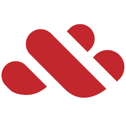 Moroccan Web Services Logo